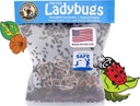 Natures Good Guys 1500 Live Ladybugs - Good Bugs- Ladybugs - Guaranteed Live Delivery!