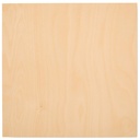 6 mm Baltic Birch Plywood 1/4 x 12 x 12 Inch, Box of 25 B/BB Grade Craft Wood, Stronger Than Basswood Sheets, for Laser, CNC Cutting and Wood Burning, by Woodpeckers