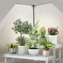 Plant Grow Lights for Indoor Plants Full Spectrum with 3/6/9H Timer & Dimming, Slim Plant Lights for Indoor Growing with 6000K White Red LEDs for Various Plants