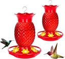 Glass Hummingbird Feeders for Outdoors Hanging Ant and Bee Proof 16OZ 2 Pack Red Pineapple Humming Bird Feeder with 6 Feeding Ports and Ant Moat Hummingbird Gifts for Women Garden Decor