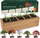 5 DIY Bonsai Tree Kit for Beginners, Complete Indoor Gardening Starter Kit with Seeds, Soils, Pots & Tools, Unique Birthday Gifts Ideas for Women, Men